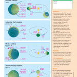 An Illustrated Guide to Science - EARTH SCIENCE ( sách màu)