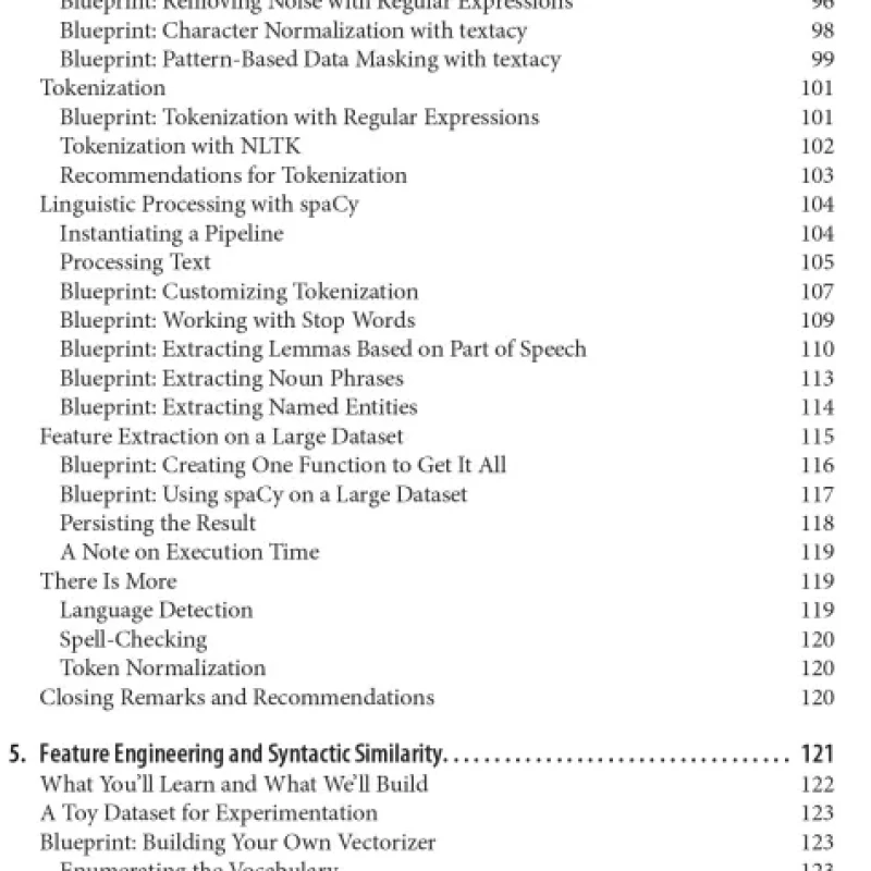 Blueprints for Text Analytics Using Python