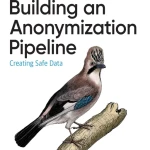 Building an Anonymization Pipeline - Hanoi Bookstore