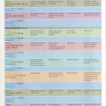 Cambridge English Objective PET Student's Book & workbook