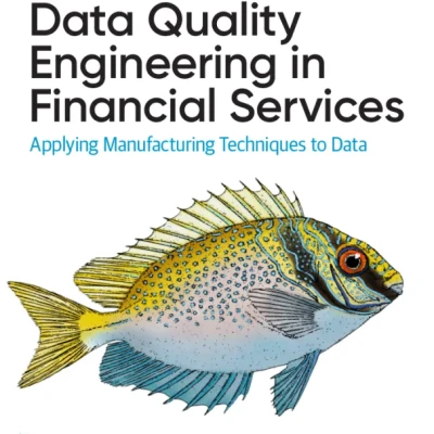 Data Quality Engineering in Financial Services - Hanoi bookstore