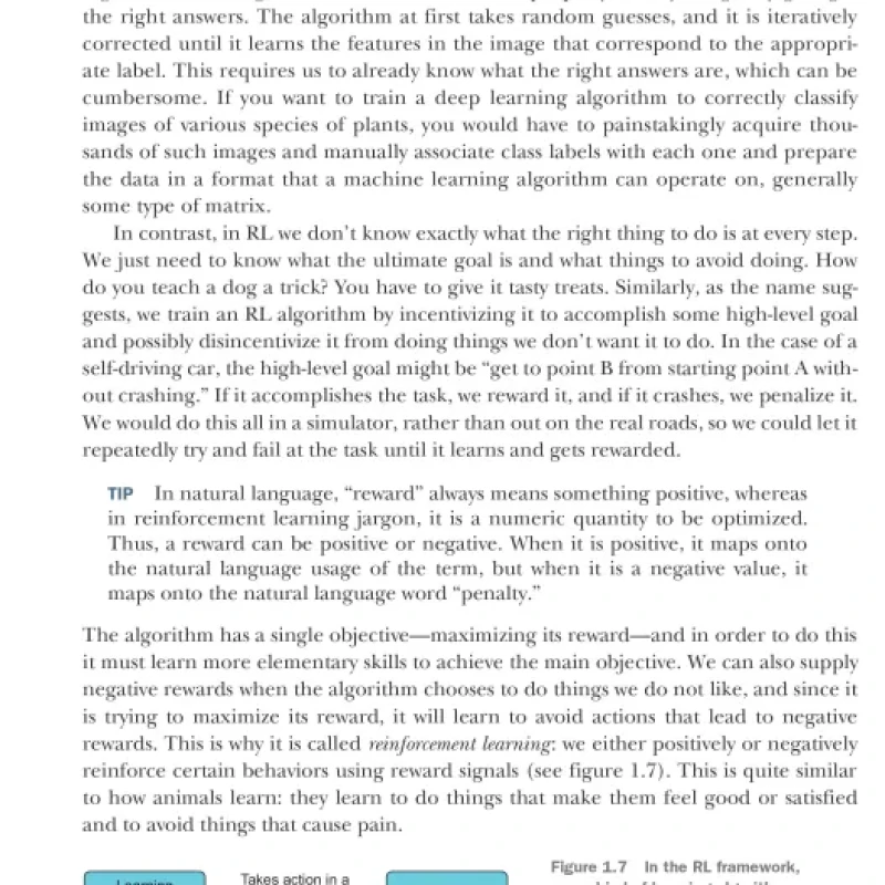 Deep Reinforcement Learning in Action