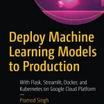 Deploy Machine Learning Models to Production