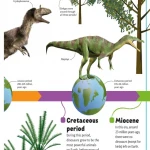 DINOSAURS A TO Z (Sách màu)