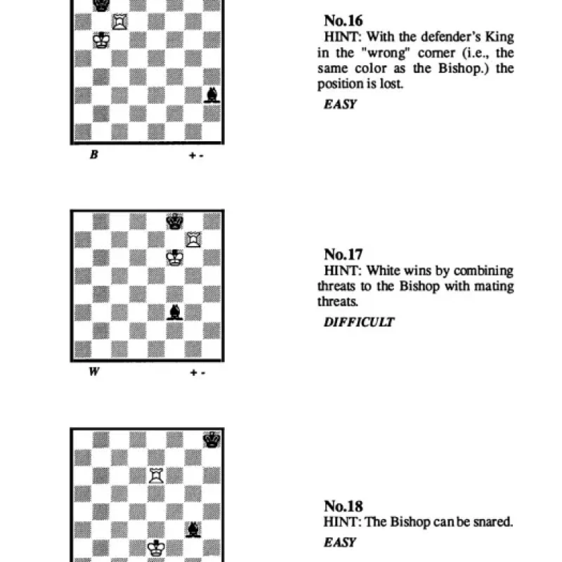 Endgame Challenge