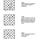 Endgame Challenge