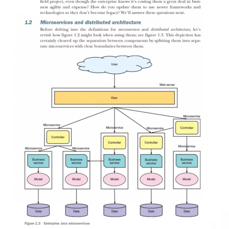 Enterprise Java Microservices
