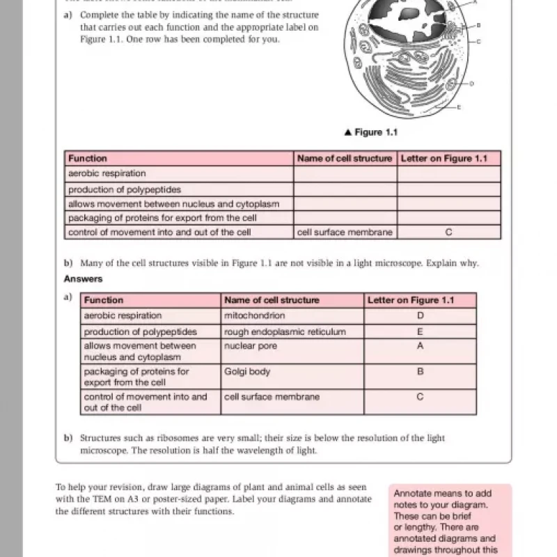 Exam Success in Biology for Cambridge International AS A Level ( sách đen trắng )