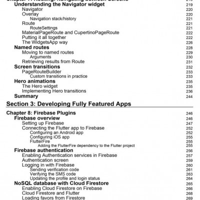 Flutter for Beginners