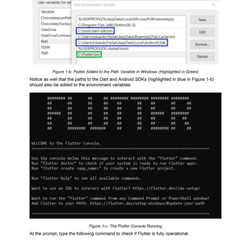 Flutter Ui Succinctly