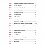 Fundamentals of Pathology: Medical Course and Step 1 Review: 2019 Edition