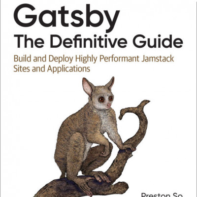Gatsby the Definitive Guide