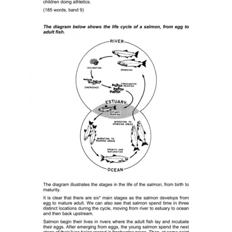 IELTS Writing Task 1 Task 2 (Sách màu)