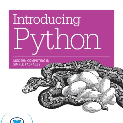 Introducing Python Modern Computing in Simple - Hanoi Bookstore