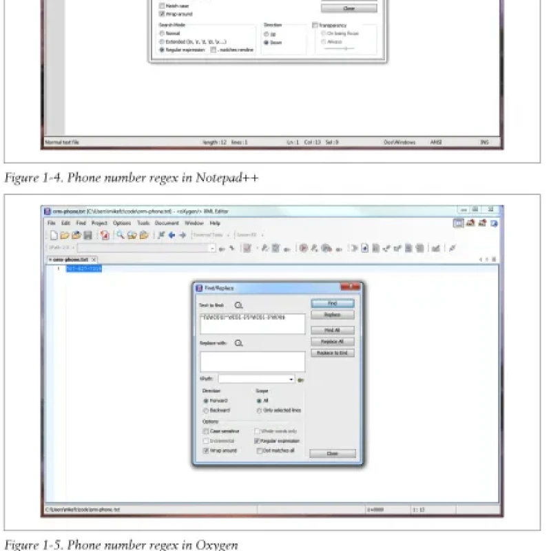 Introducing Regular Expressions - Hanoi Bookstore