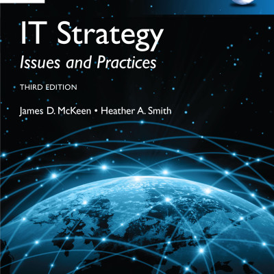 Sách IT strategy - issues and practices
