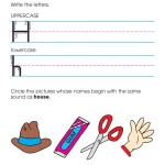 Kindergarten Basic Skills