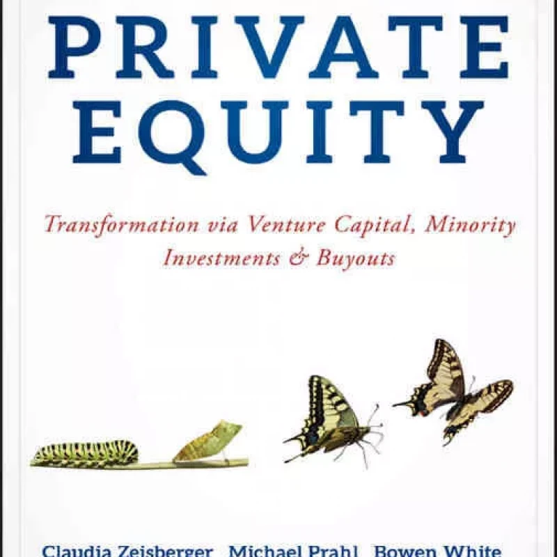 Mastering Private Equity