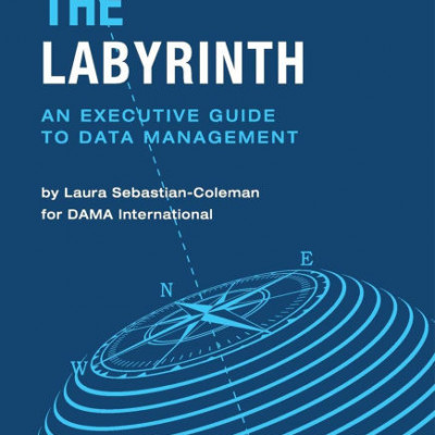 Navigating the Maze An Executive Guide to Data Management First Edition
