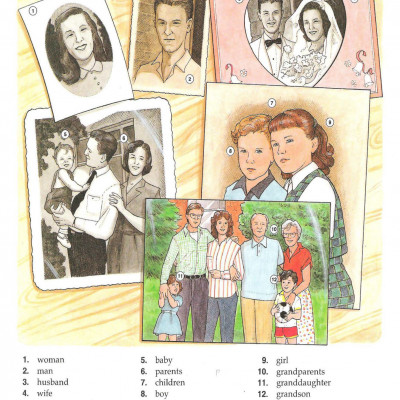 The New Oxford Picture Dictionary (Sách màu)