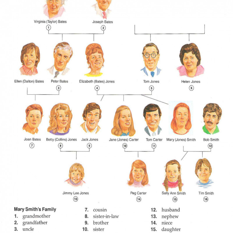 The New Oxford Picture Dictionary (Sách màu)