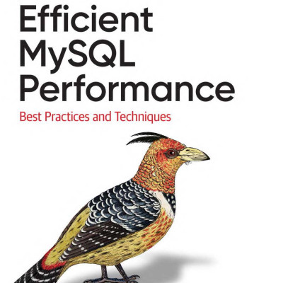 Efficient MySQL Performance