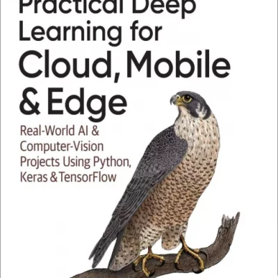 Practical Deep Learning for Cloud Mobile and Edge
