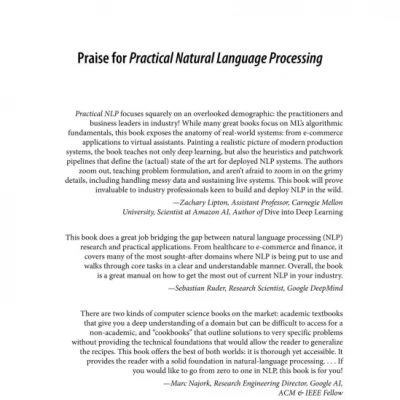 Practical Natural Language Processing A Comprehensive Guide to Building Real-World NLP Systems