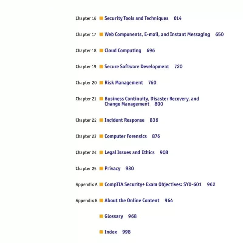 Principles of Computer Security CompTIA Security+ and Beyond