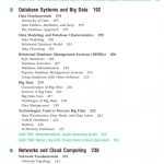 Principles of information systems
