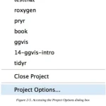 R Packages Organize, Test, Document