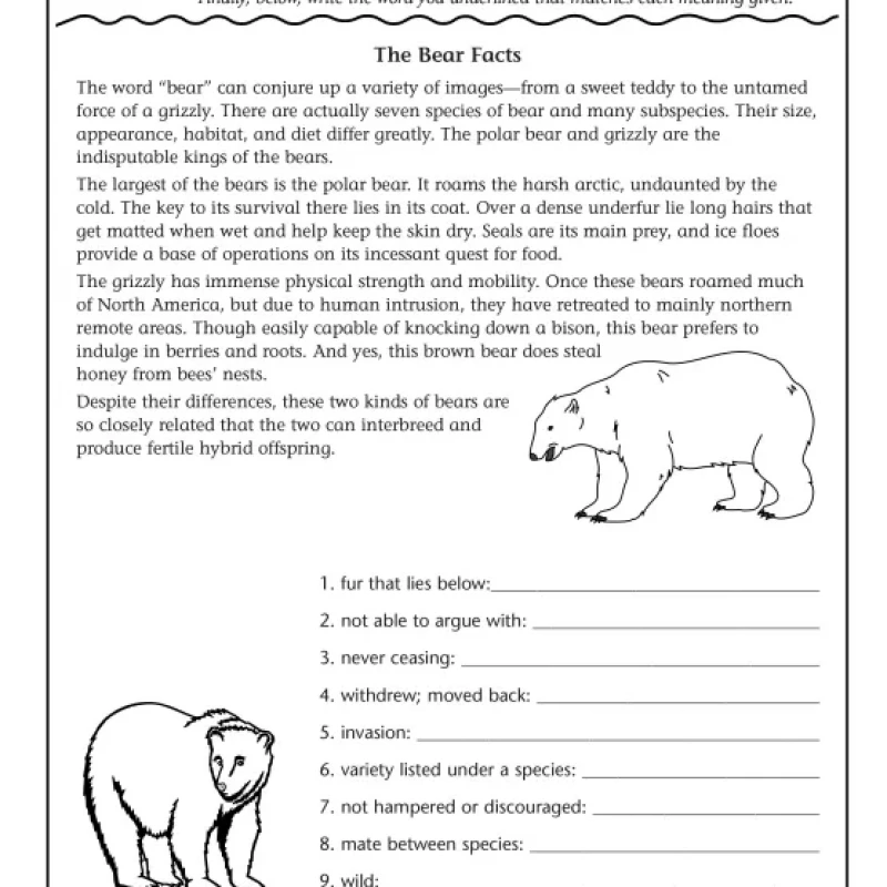 Reading Comprehension Skills and Strategies Level 6 ( sách đen trắng )