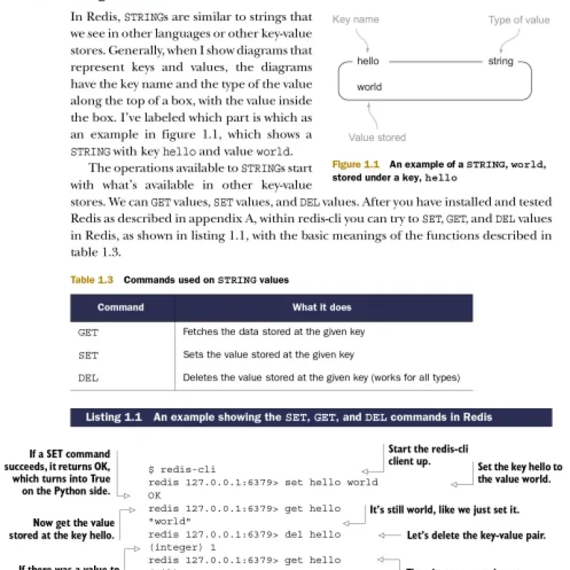 Redis in Action - HanoiBookstore