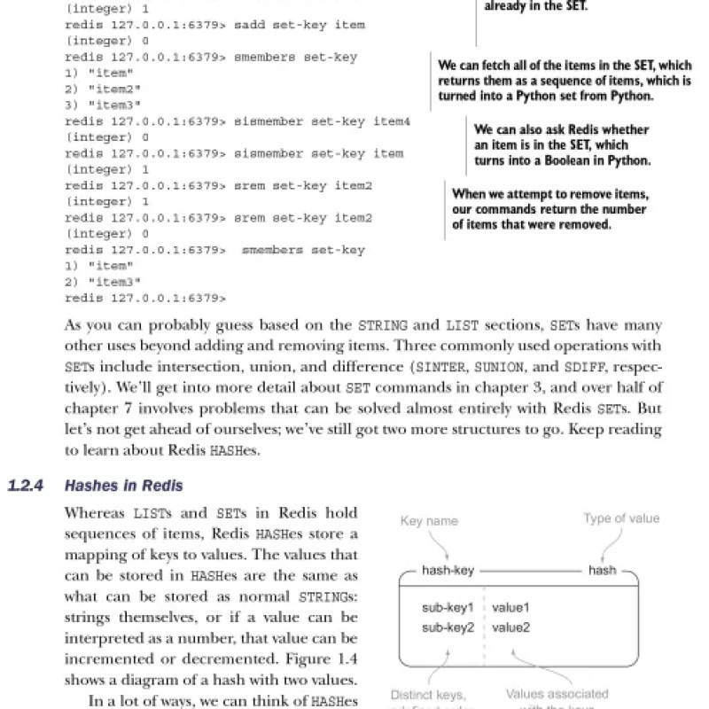 Redis in Action - HanoiBookstore