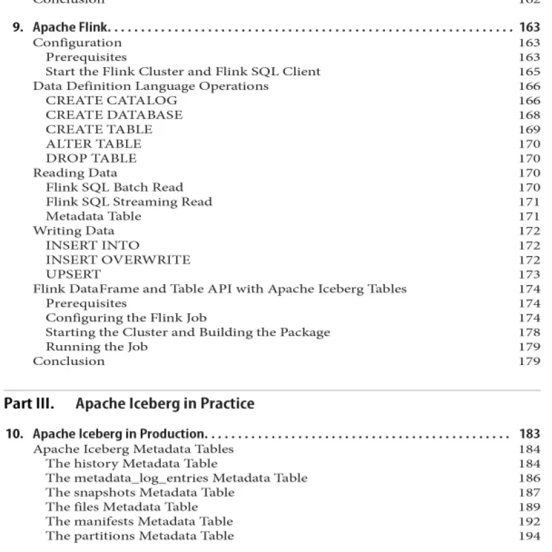 Sách Apache Iceberg The Definitive Guide Data Lakehouse Functionality