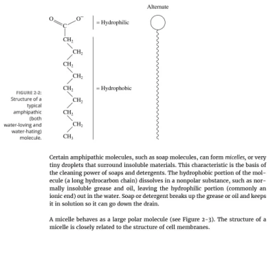 Sách Biochemistry For Dummies, 3rd Edition
