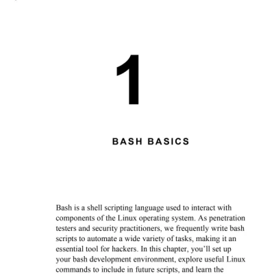 Sách Black Hat Bash - Bash Scripting for Hackers and Pentesters