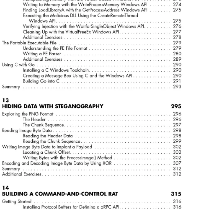 Sách Black Hat Go Go Programming For Hackers and Pentesters