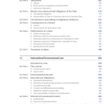 Sách Cases Materials on International Law