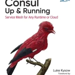 Sách Consul Up Running Service Mesh for Any Runtime or Cloud