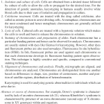 sách Fundamentals and Advances in Medical Biotechnology