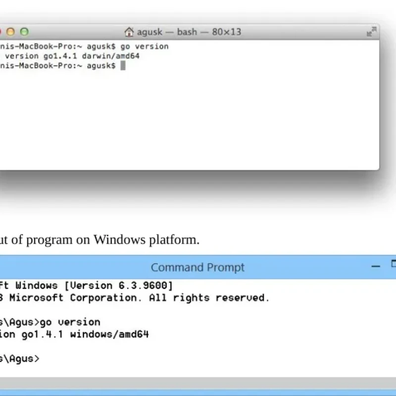 Sách Go Programming by Example