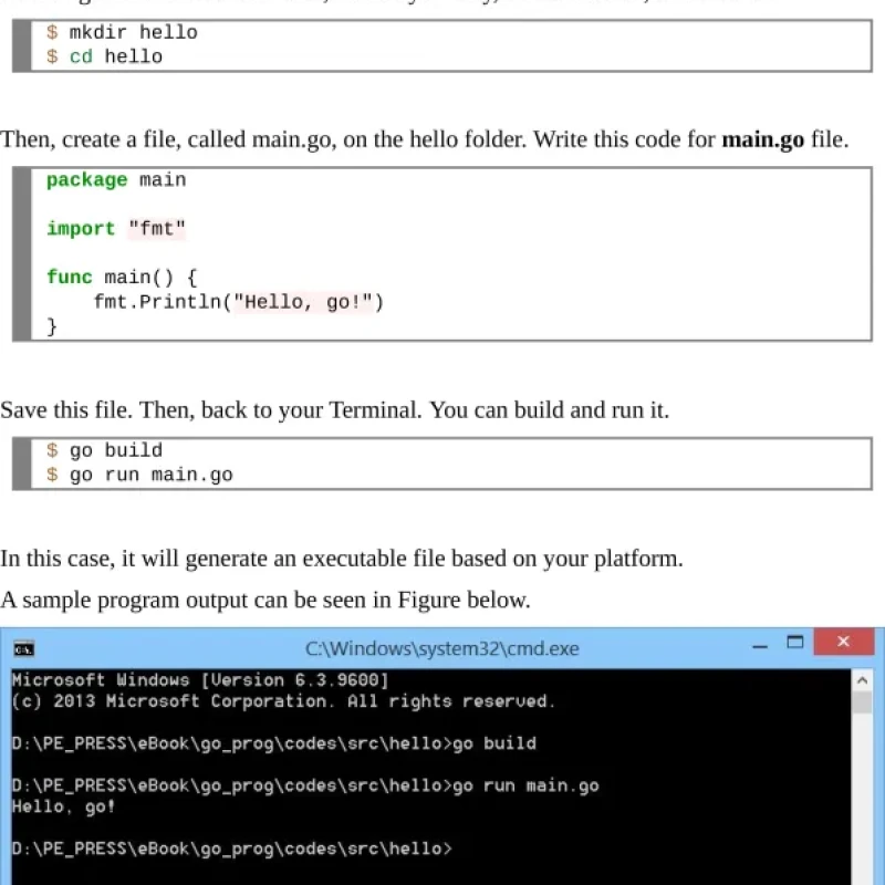 Sách Go Programming by Example