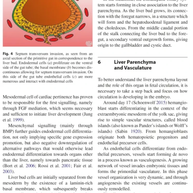 Sách Imaging of the Liver and Intra-hepatic Biliary Tract Volume 1