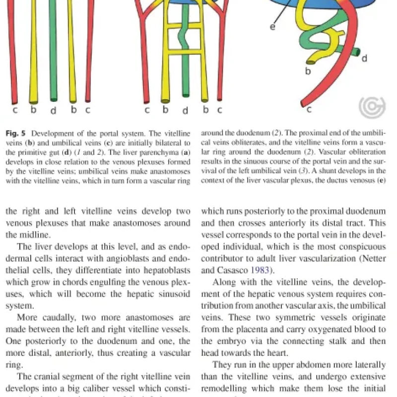 Sách Imaging of the Liver and Intra-hepatic Biliary Tract Volume 1