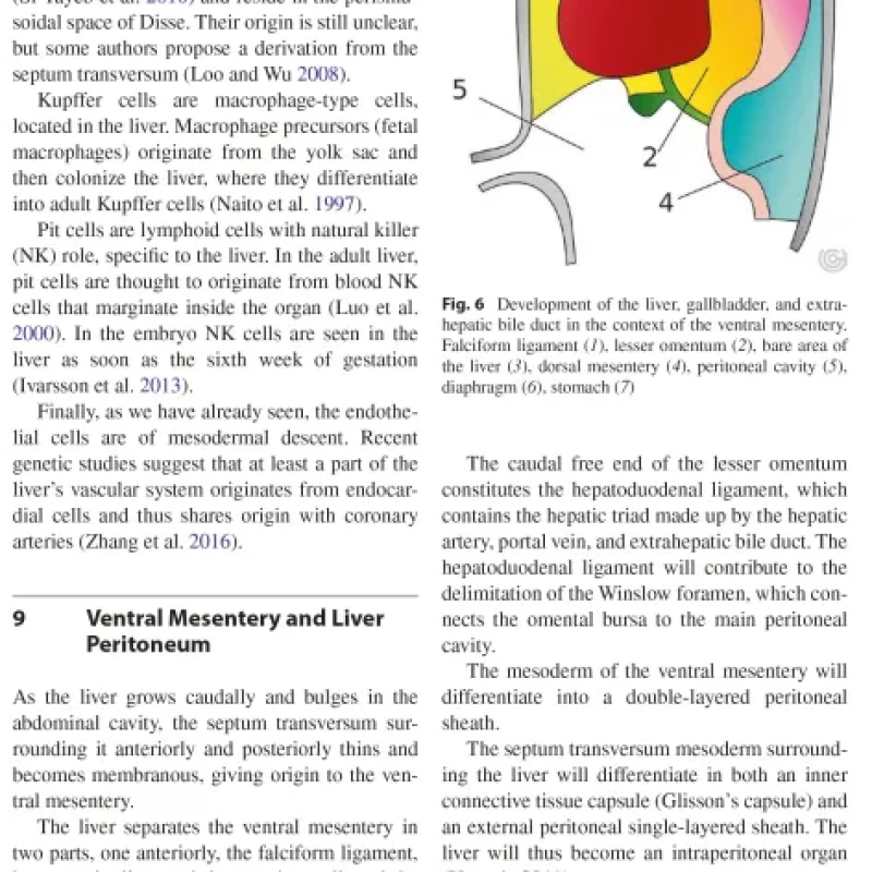 Sách Imaging of the Liver and Intra-hepatic Biliary Tract Volume 1