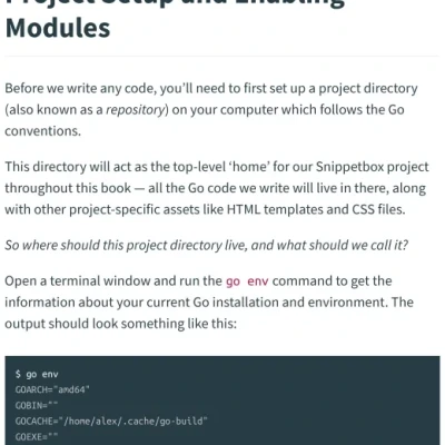 Sách Let’s Go Learn to build professional web applications with Go