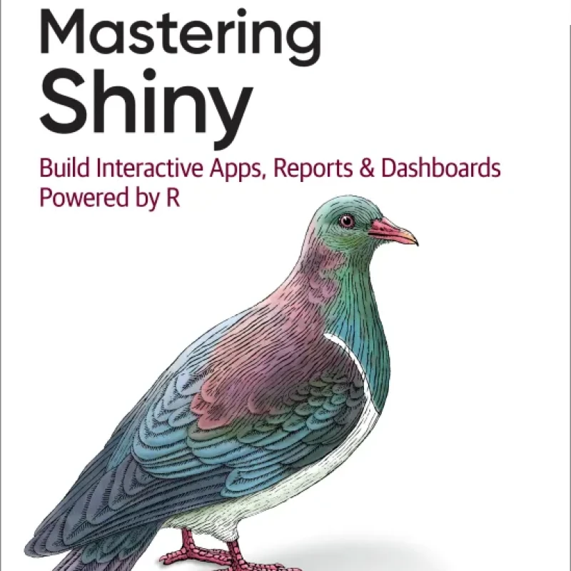 Sách Mastering Shiny Build Interactive Apps, Reports, and Dashboards Powered by R