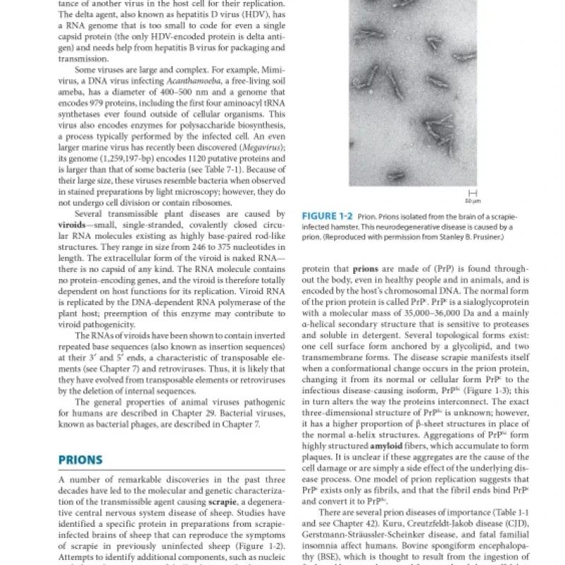 Sách Medical_Microbiology