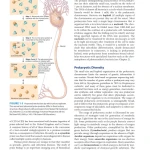 Sách Medical_Microbiology